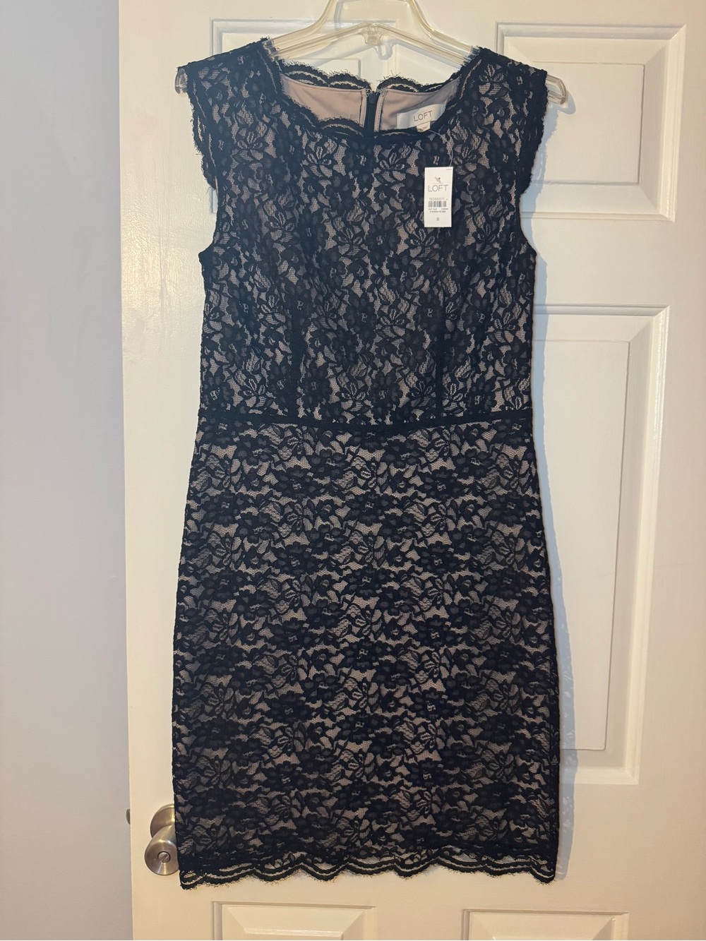 NWT Loft lace cocktail dress